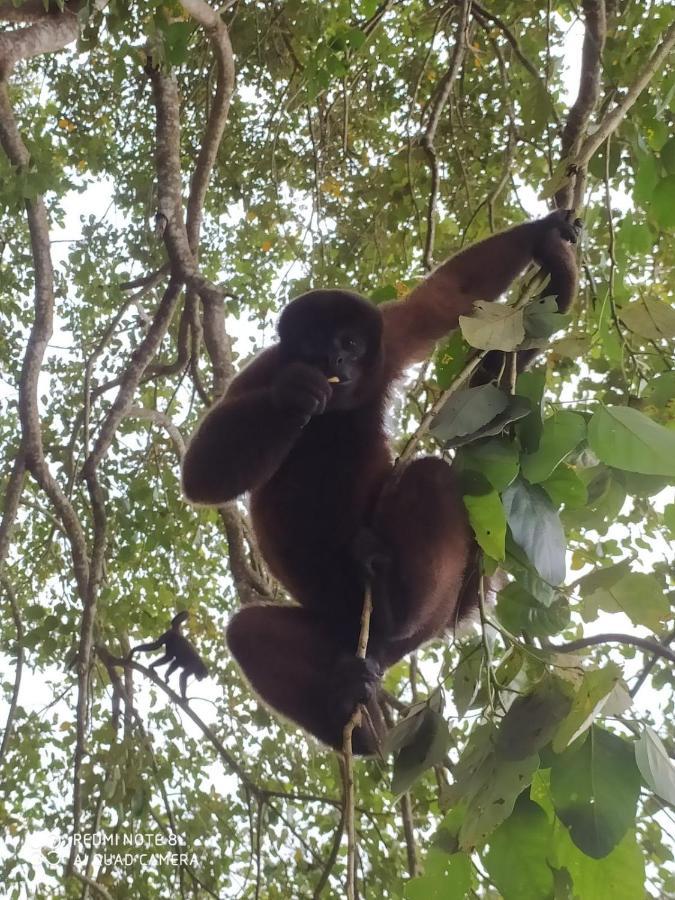 Jacamar Lodge Expeditions Iquitos Eksteriør bilde