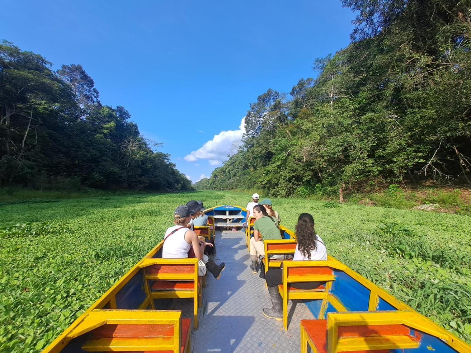 Jacamar Lodge Expeditions Iquitos Eksteriør bilde